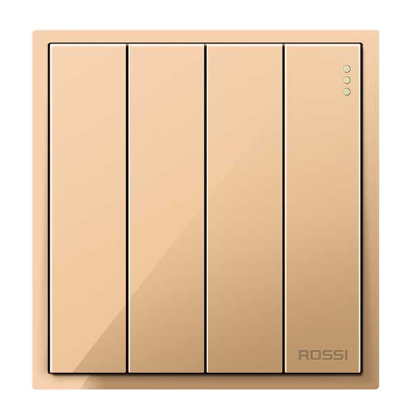 Công tắc bốn 2 chiều R62