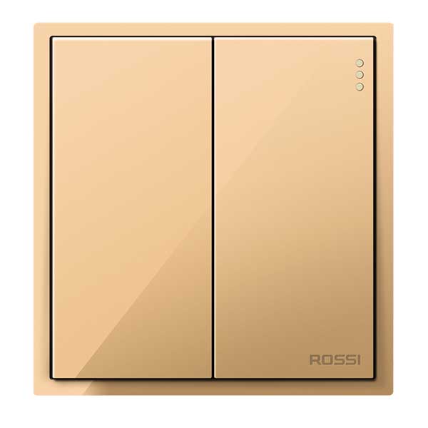 Công tắc đôi 2 chiều R62