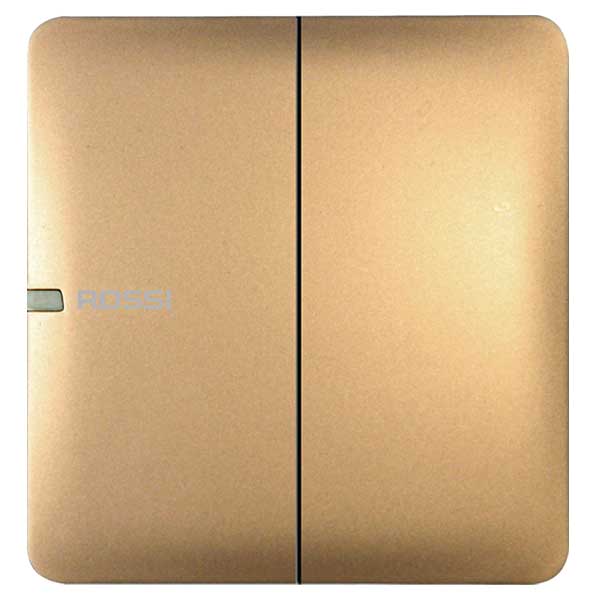Công tắc đôi 1 chiều R50
